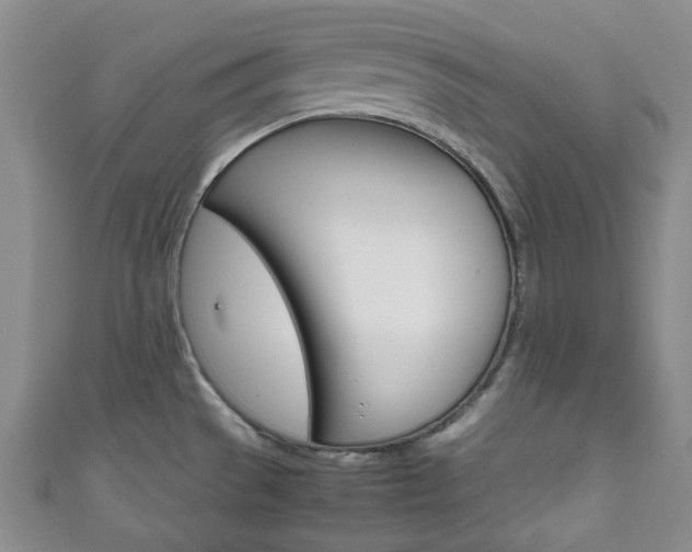 X0000111861529200907231120