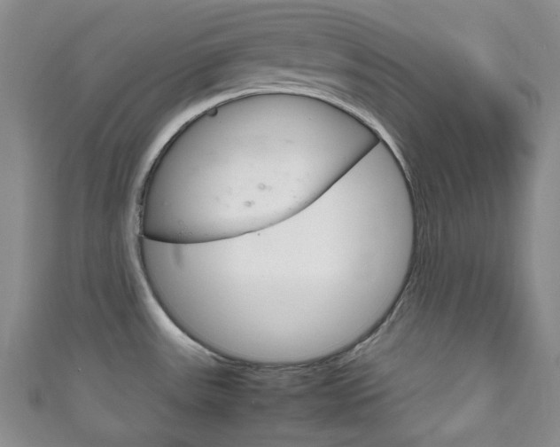 X0000111861531200907231120