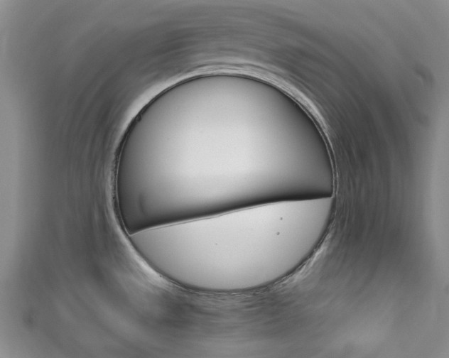 X0000111861533200907231120