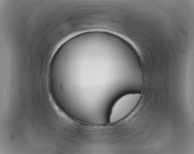 X0000111861534200907231120