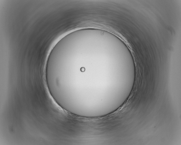 X0000111861536200907231120
