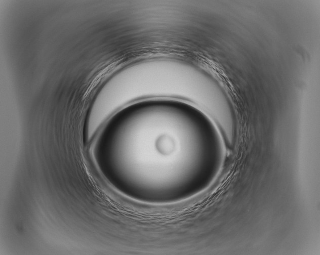 X0000111860001200907231501