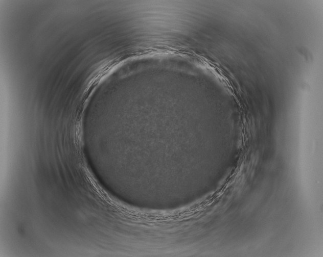 X0000111860002200907231501