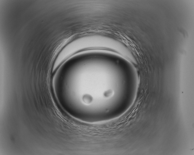 X0000111860003200907231501