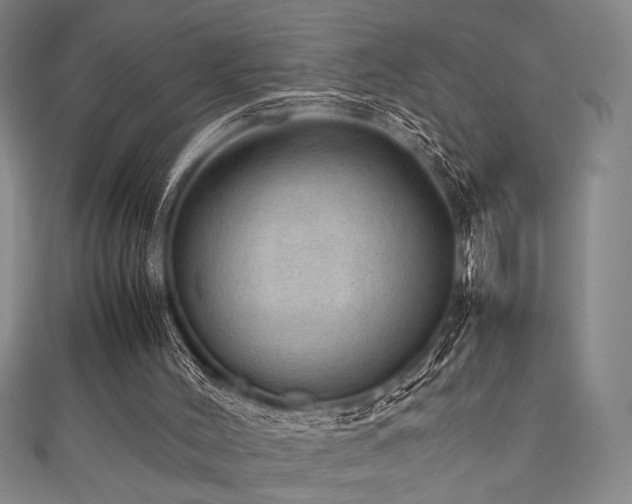 X0000111860004200907231501