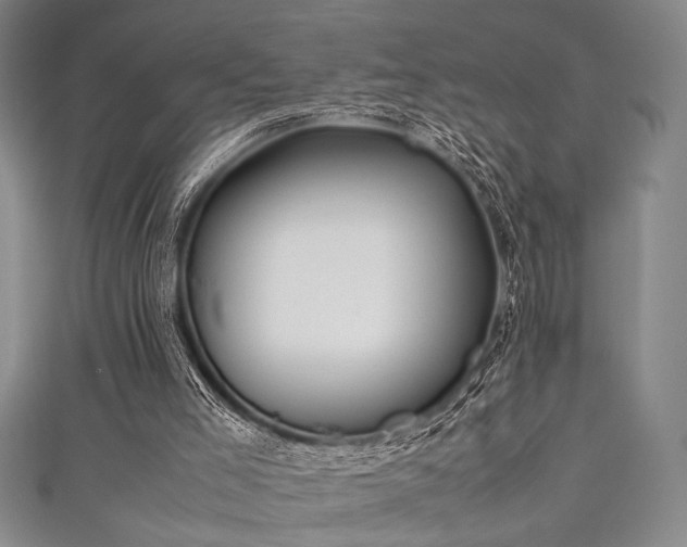 X0000111860005200907231501