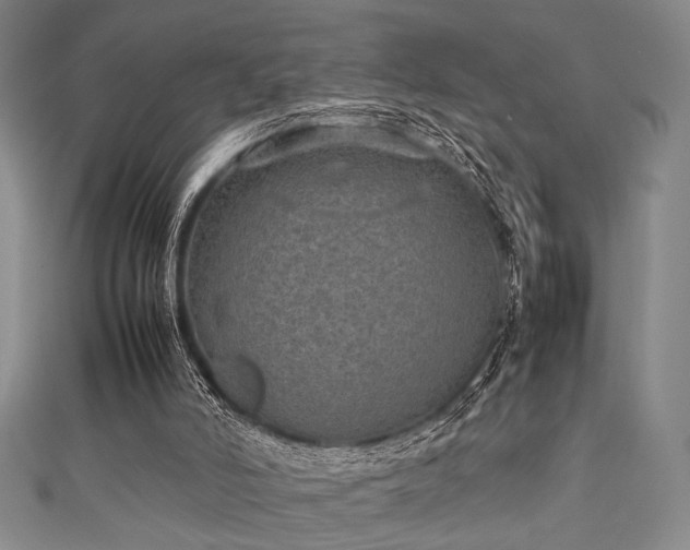 X0000111860006200907231501