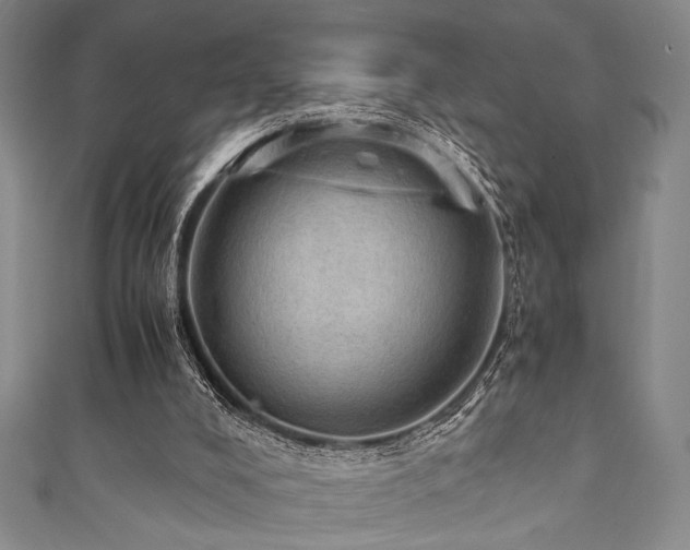 X0000111860008200907231501