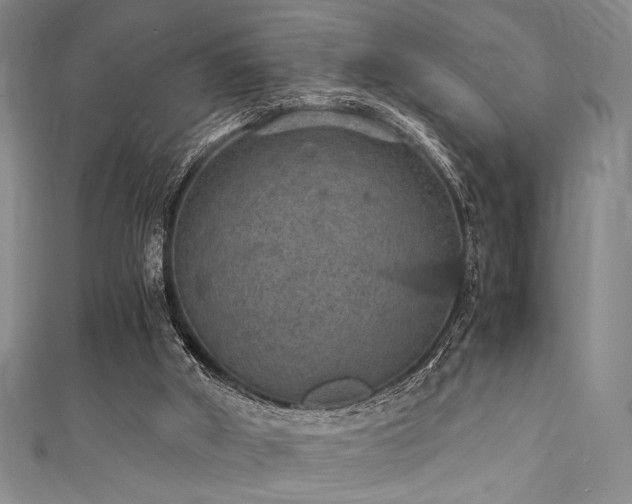 X0000111860010200907231501