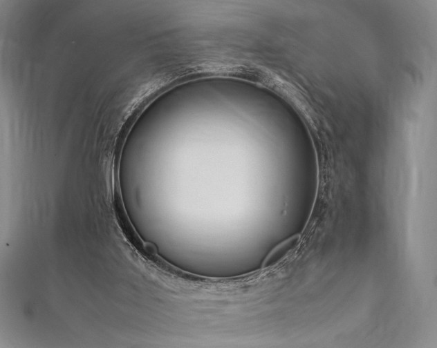 X0000111860011200907231501