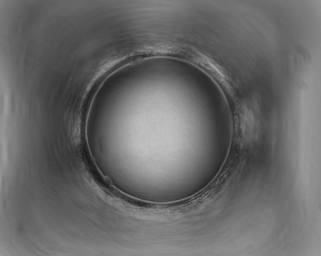X0000111860012200907231501