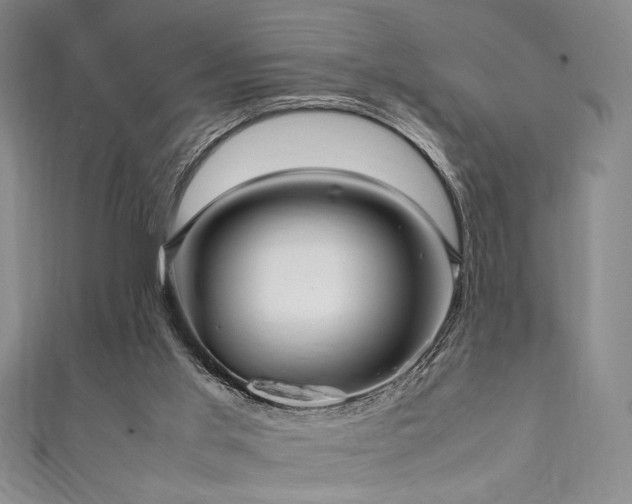 X0000111860013200907231501
