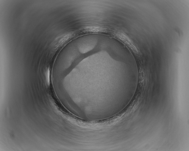 X0000111860014200907231501