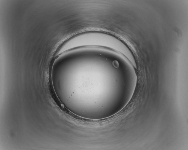 X0000111860015200907231501