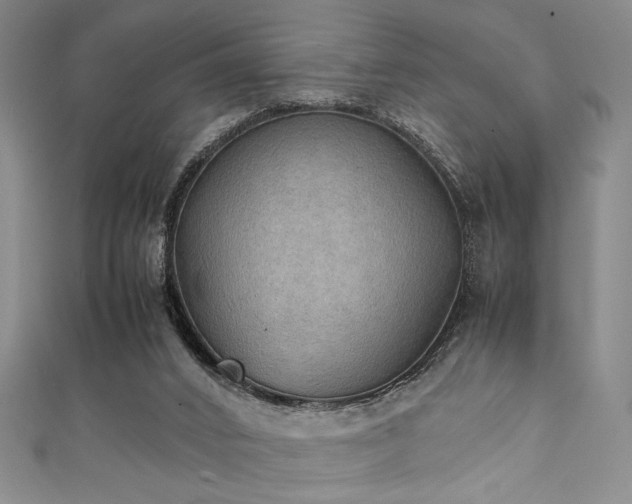 X0000111860016200907231501