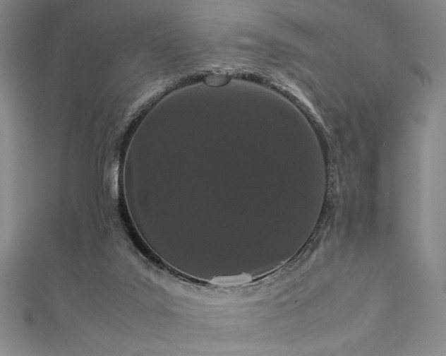 X0000111860019200907231501
