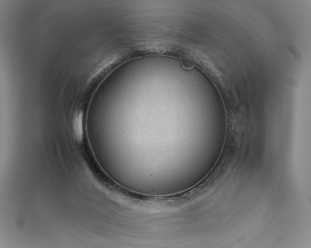 X0000111860020200907231501