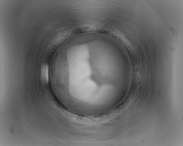 X0000111860022200907231501