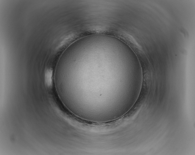X0000111860024200907231501