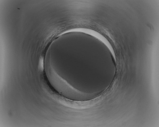 X0000111860027200907231501