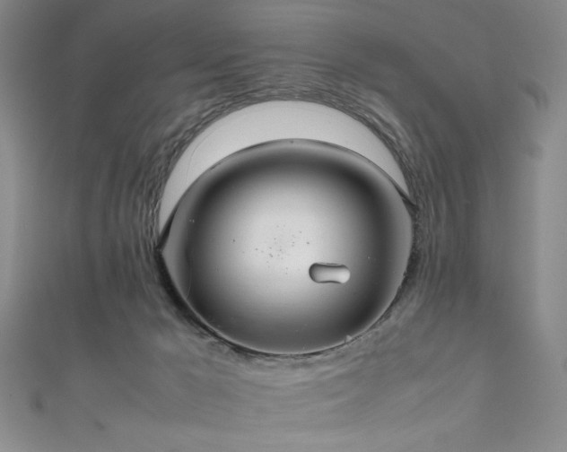 X0000111860029200907231501