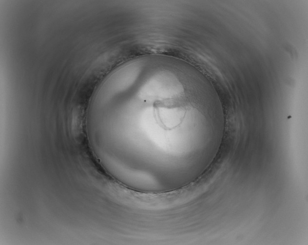 X0000111860030200907231501