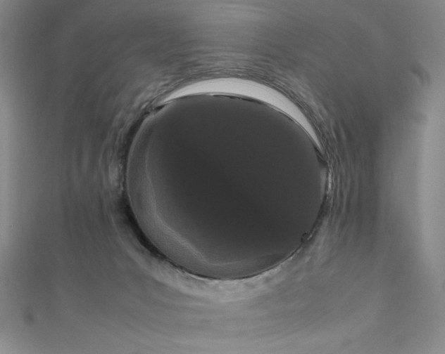 X0000111860031200907231501