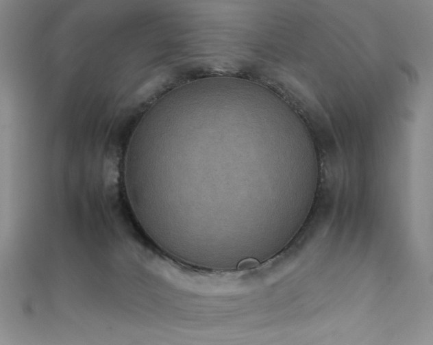 X0000111860032200907231501