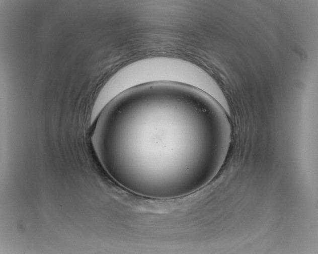 X0000111860033200907231501