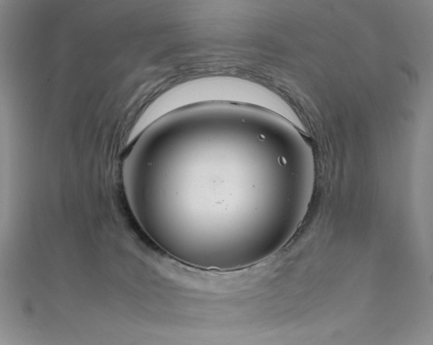 X0000111860035200907231501