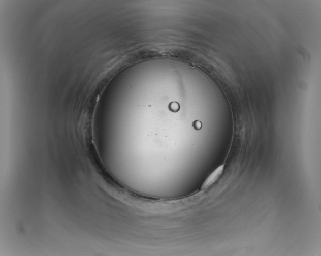 X0000111860036200907231501