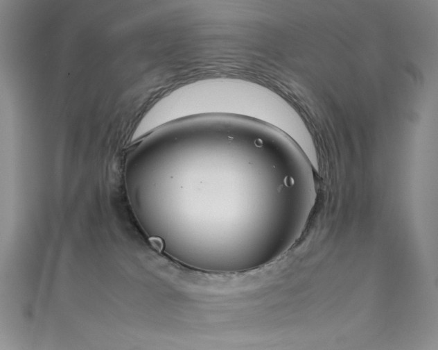 X0000111860037200907231501