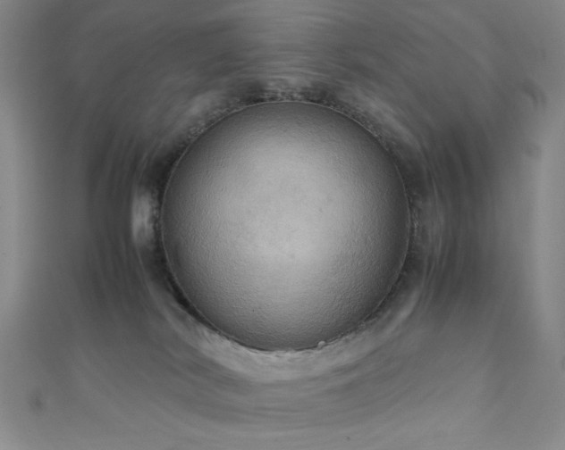 X0000111860038200907231501