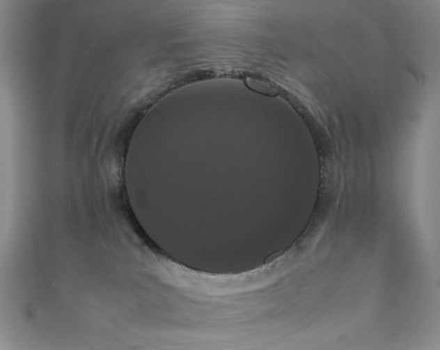 X0000111860039200907231501