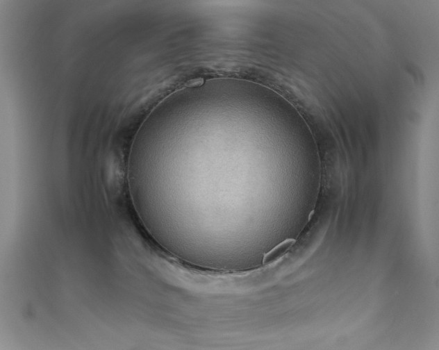 X0000111860040200907231501
