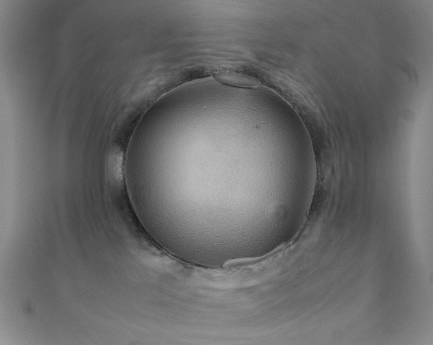 X0000111860041200907231501