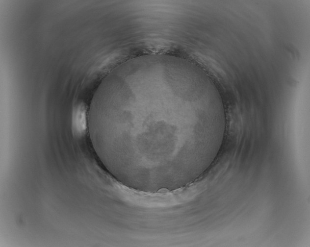 X0000111860042200907231501