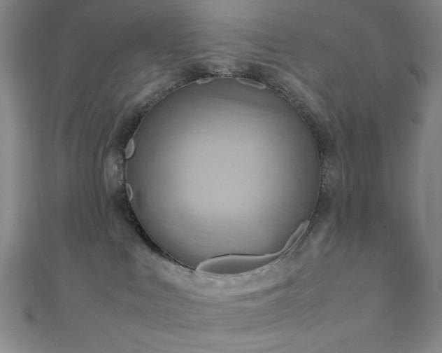 X0000111860043200907231501
