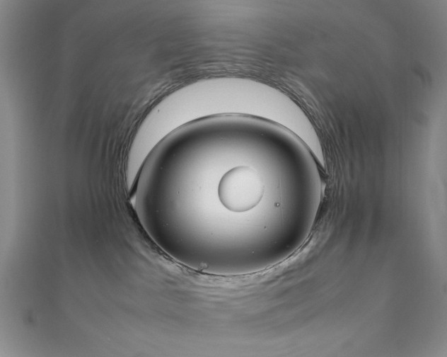X0000111860045200907231501