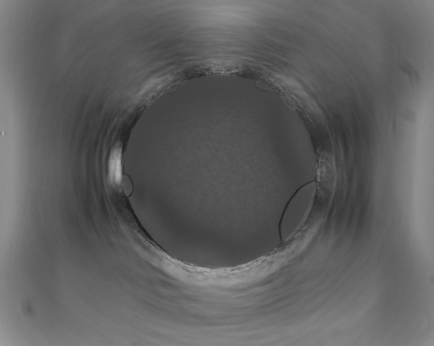 X0000111860046200907231501