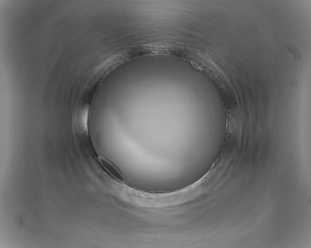 X0000111860047200907231501