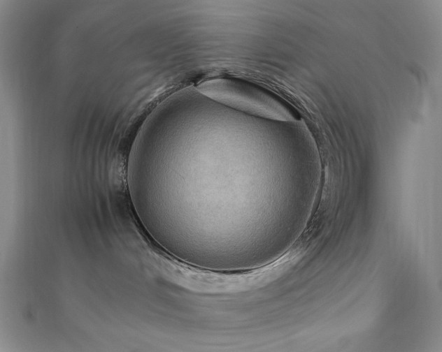 X0000111860048200907231501