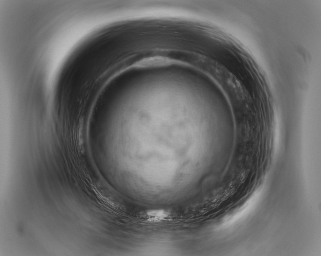 X0000111860050200907231500
