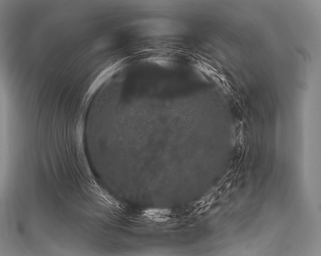 X0000111860051200907231500