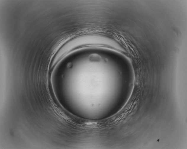 X0000111860052200907231500