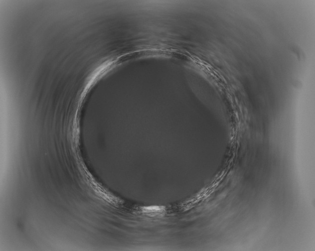 X0000111860053200907231500
