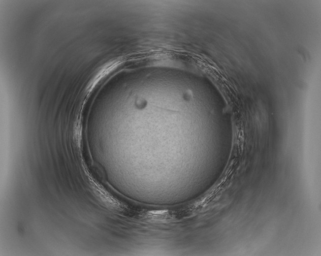 X0000111860054200907231500