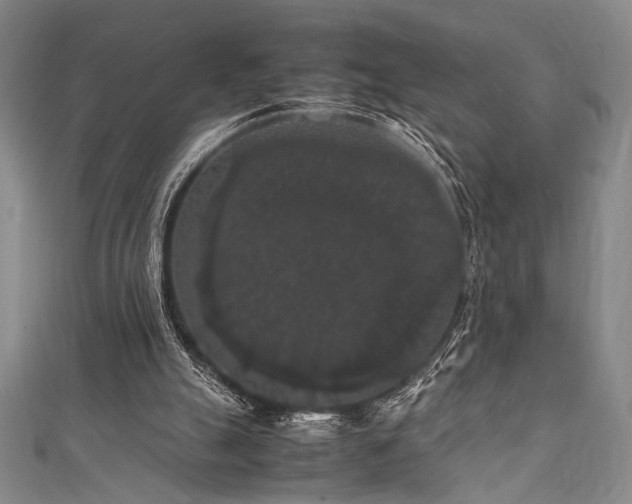 X0000111860055200907231500