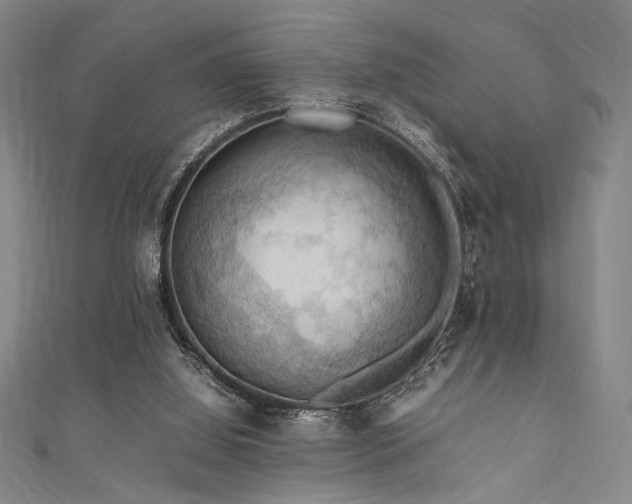 X0000111860060200907231500