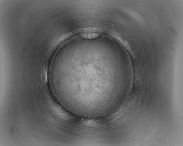 X0000111860062200907231500